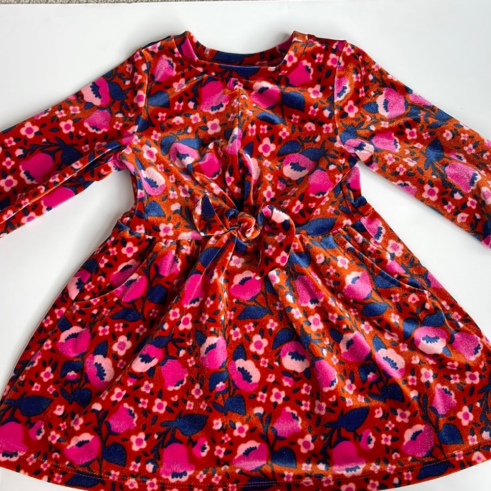 Velvet Cat and Jat dress